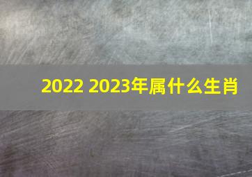 2022 2023年属什么生肖